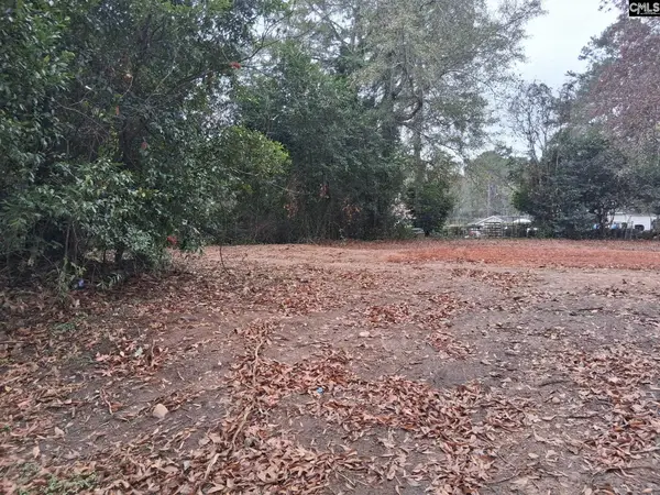 204 Miriam Avenue, Columbia, SC 29203