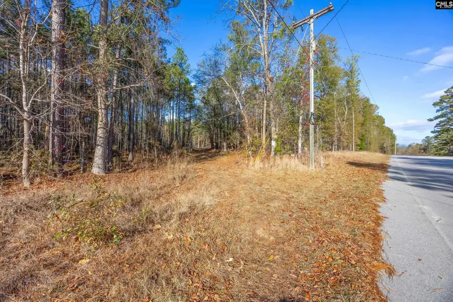 175 Pine Needle Circle, Gaston, SC 29053 - Image #2