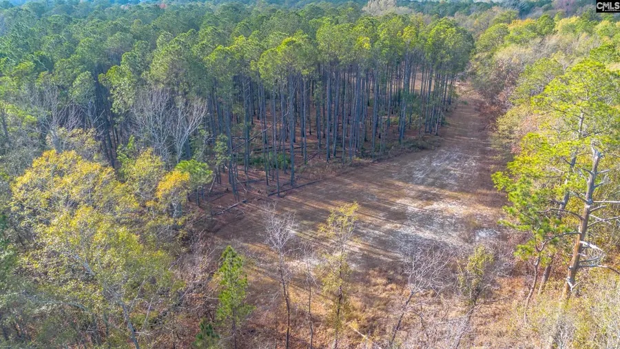 175 Pine Needle Circle, Gaston, SC 29053 - Image #3