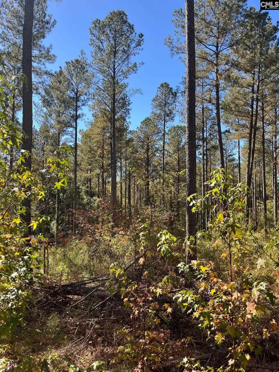 DRF 4 Dawkins Road #DRF 4, Pacolet, SC 29372 - Image #2