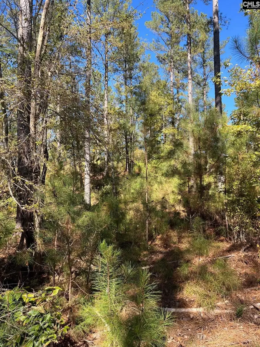 DRF 4 Dawkins Road #DRF 4, Pacolet, SC 29372 - Image #3