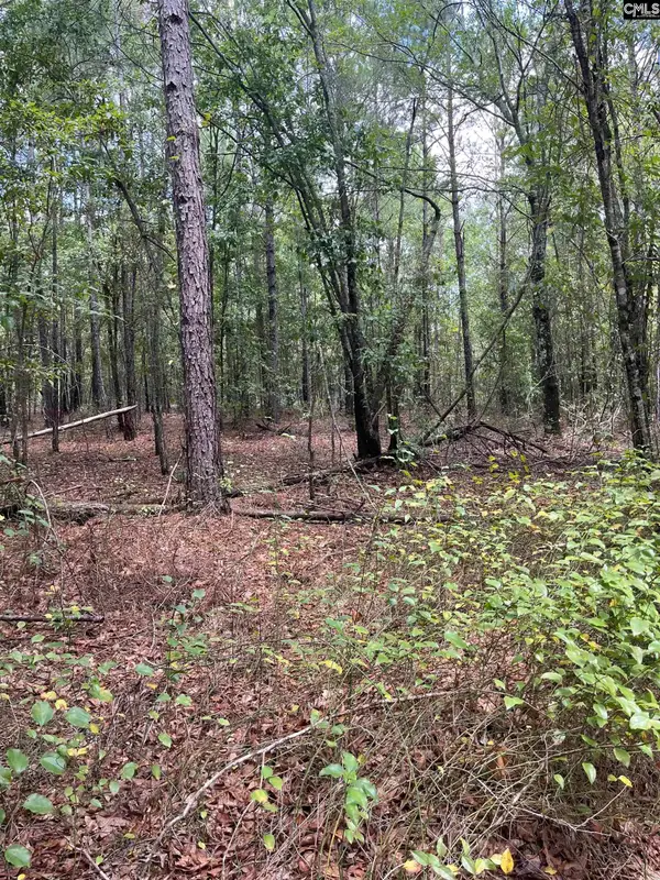 BHL 6 Boise Cascade Road #BHL 6, Bethune, SC 29009