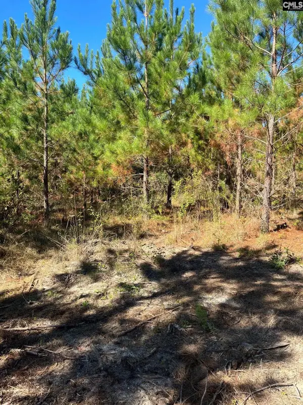 BFF 1E Brunson Teal Road #BFF 1E, Patrick, SC 29584