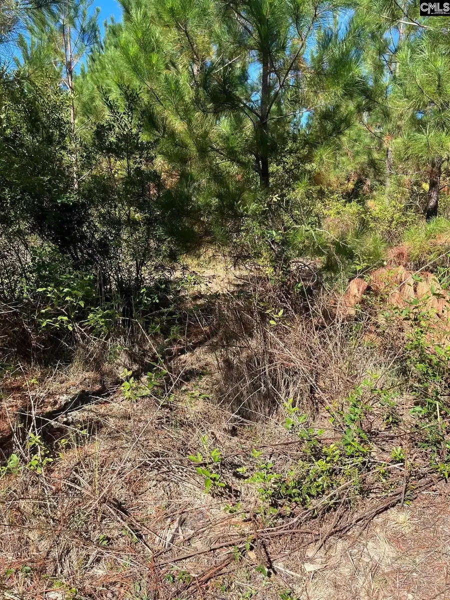 BFF 1E Brunson Teal Road #BFF 1E, Patrick, SC 29584 - Image #3