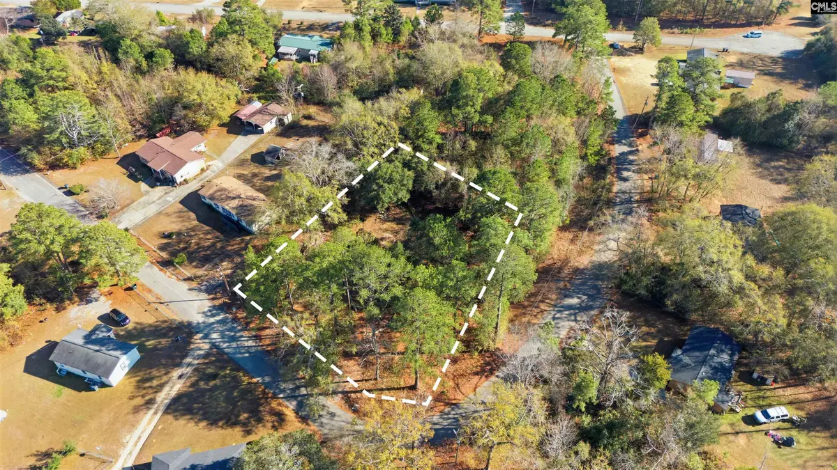 447 Swansea Heights Avenue, Swansea, SC 29160 - Image #1