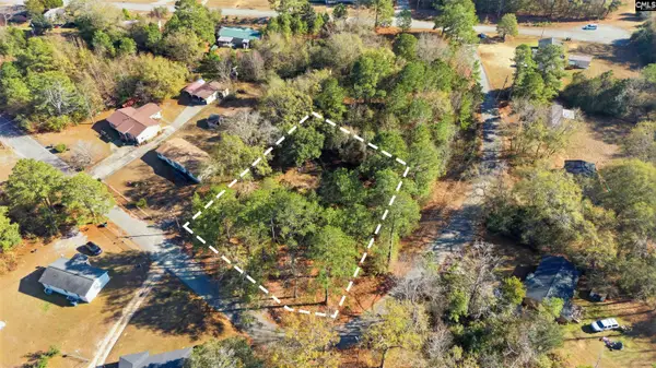 447 Swansea Heights Avenue, Swansea, SC 29160