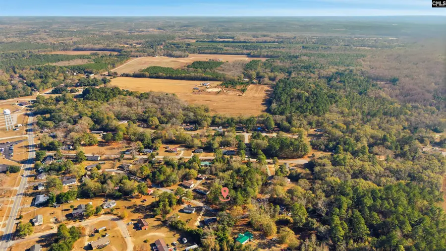 447 Swansea Heights Avenue, Swansea, SC 29160 - Image #3