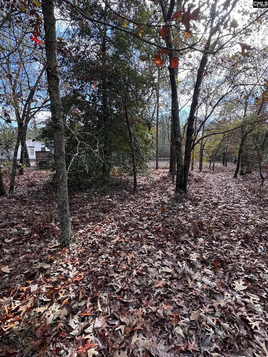 0 Valley Ridge Road, Swansea, SC 29160 - Image #3