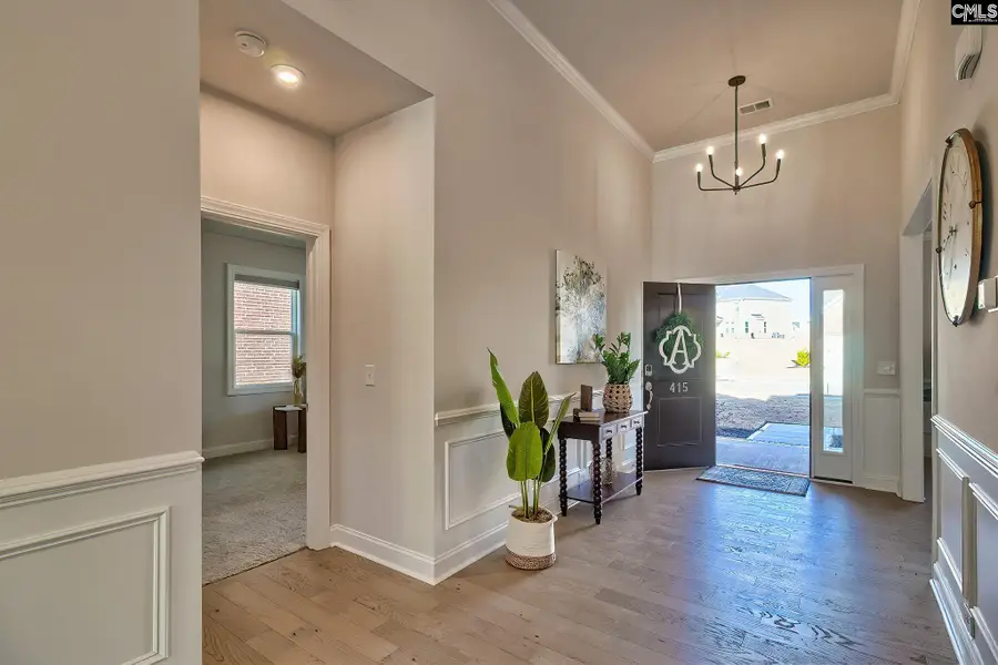 415 Rainbow Shad Way, Lexington, SC 29072 - Image #3