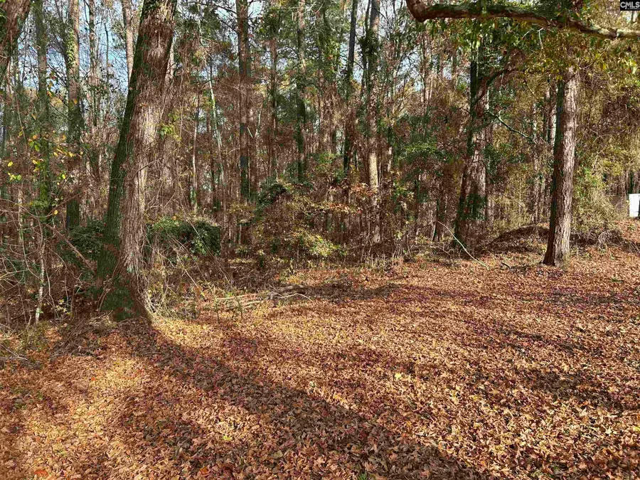 440 Paschal Road, Elgin, SC 29045 - Image #2