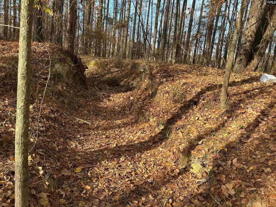 440 Paschal Road, Elgin, SC 29045 - Image #3