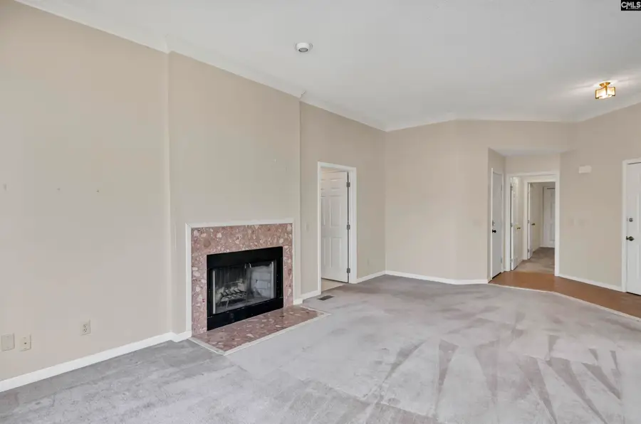 217 Timberlake Drive, Chapin, SC 29036 - Image #3