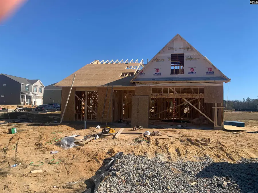 203 Ruby Prince Way, Lexington, SC 29073 - Image #2