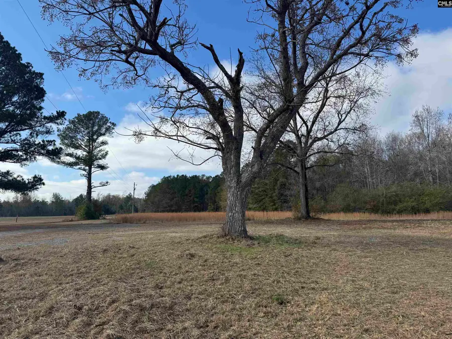 130 Willie Anderson Road, Hopkins, SC 29061 - Image #3