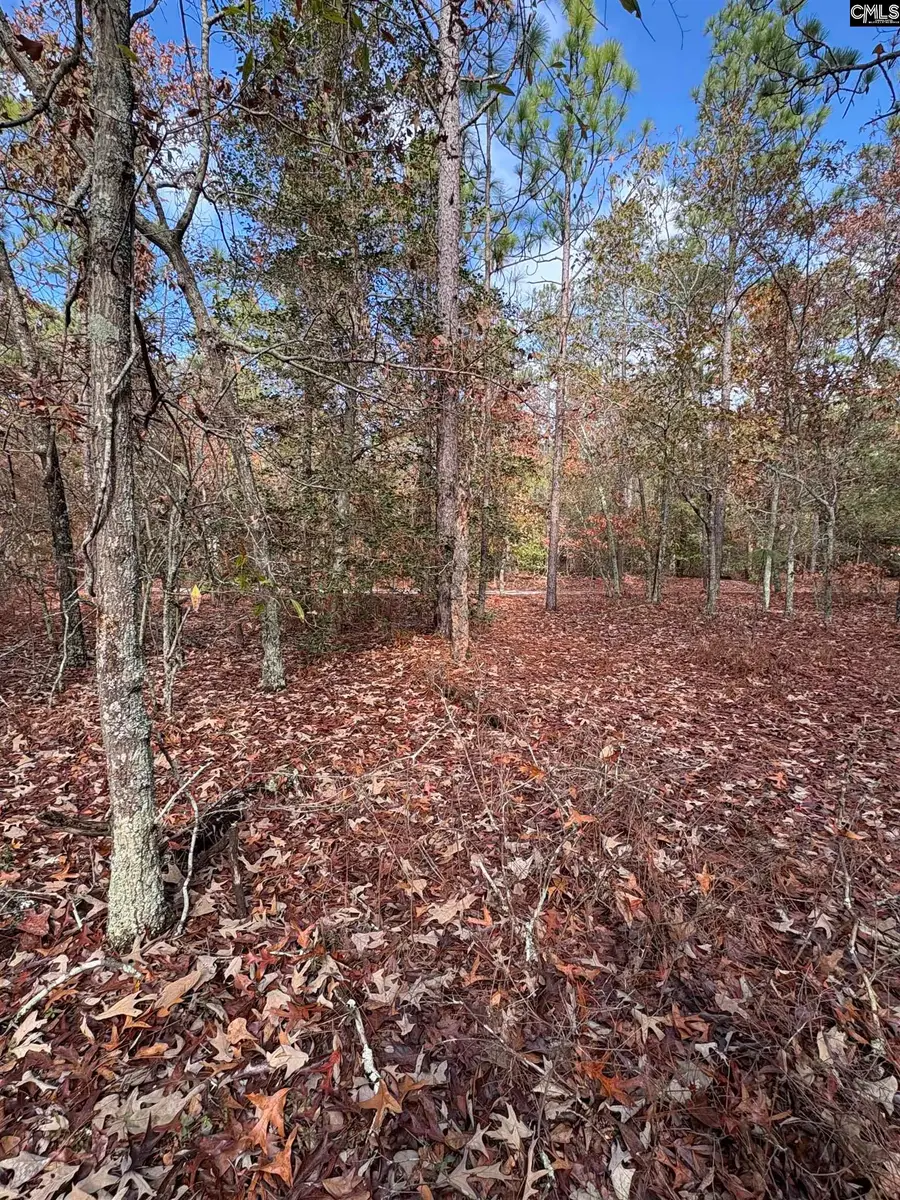 3516 Hardscrabble Road, Columbia, SC 29223 - Image #3