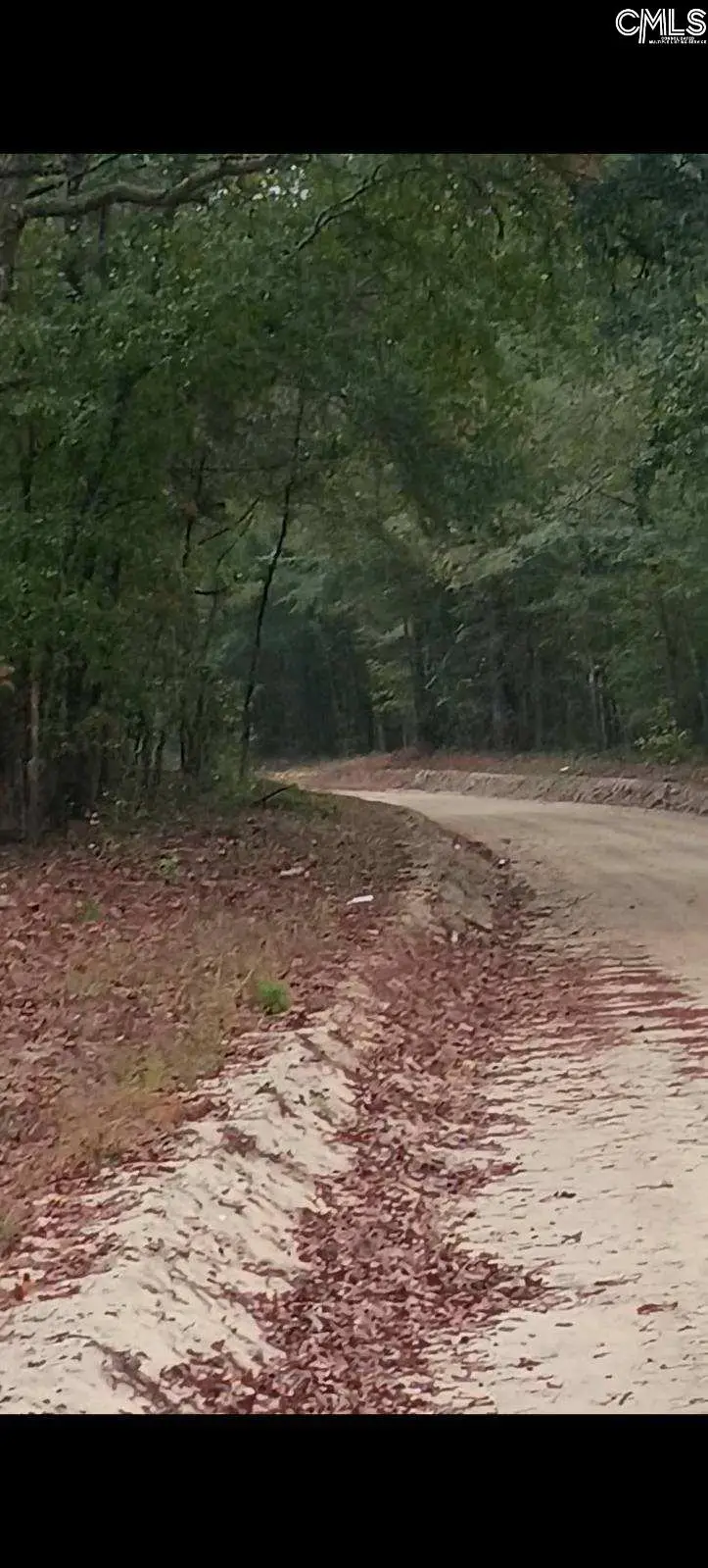 116 Rhinehart Street, Orangeburg, SC 29118 - Image #2