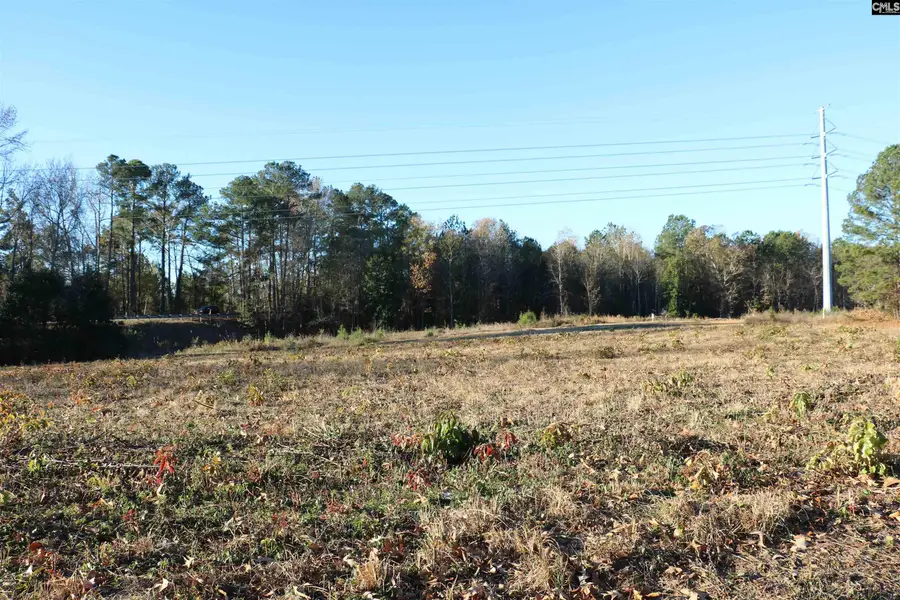 0 Bethany Drive, Irmo, SC 29063 - Image #3