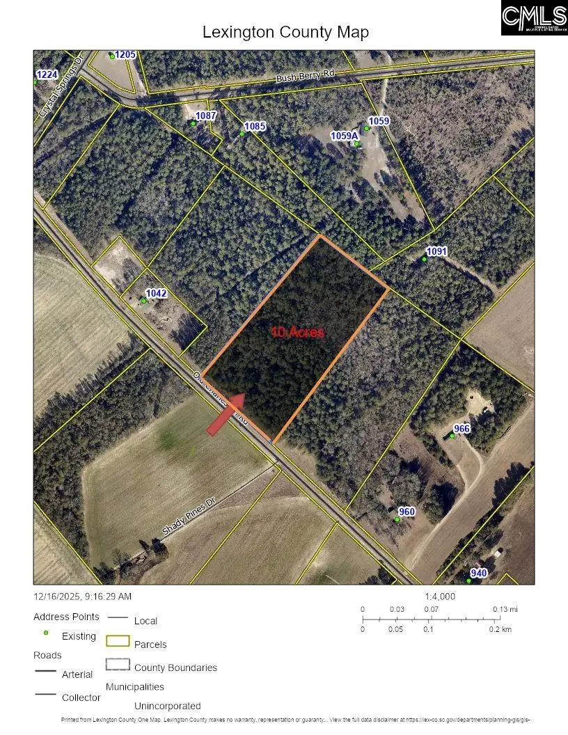 TBD Old Charleston Road, Pelion, SC 29123 - Image #1