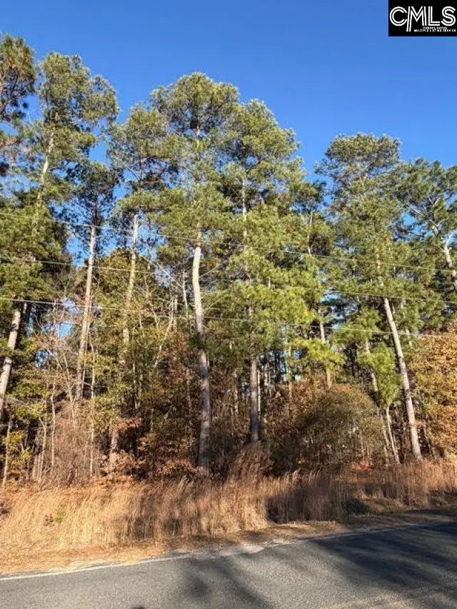 0 Woodcrest Lane, Gaston, SC 29053 - Image #2