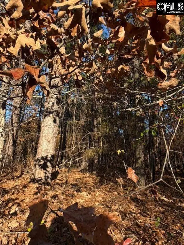 0 Woodcrest Lane, Gaston, SC 29053 - Image #3