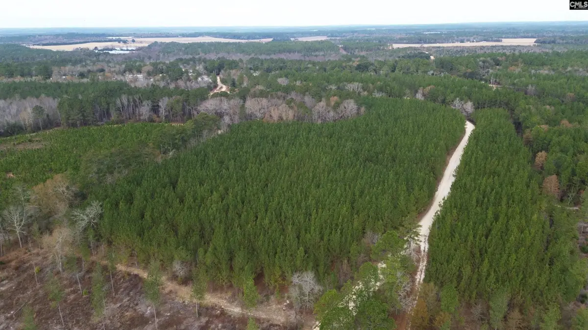 Kestrel Drive, Leesville, SC 29072 - Image #1