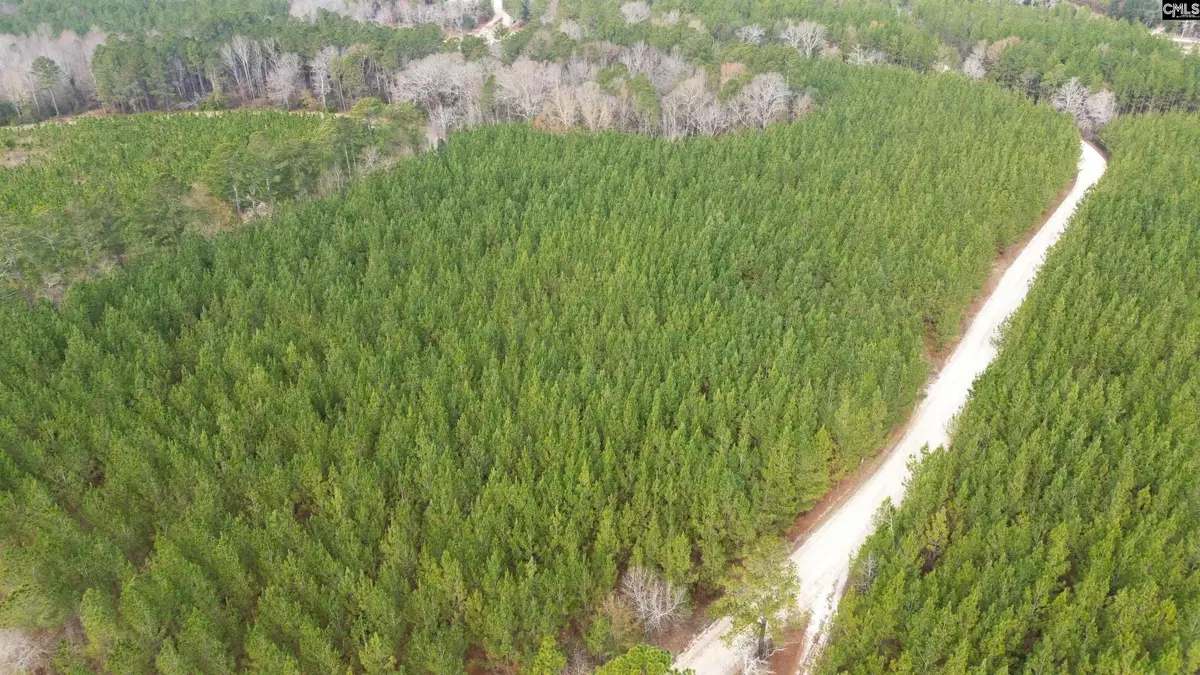 Kestrel Drive, Leesville, SC 29072 - Image #1