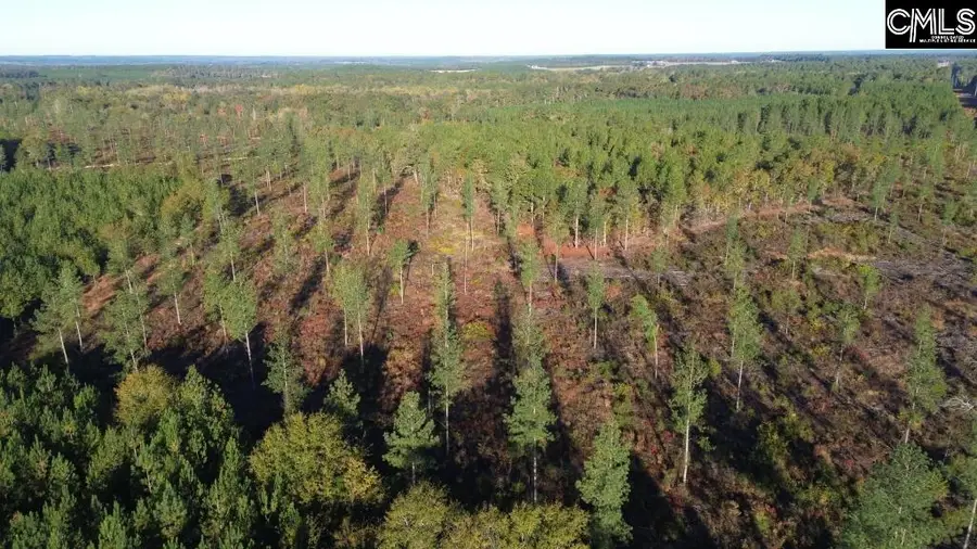 Kestrel Drive, Leesville, SC 29072 - Image #3