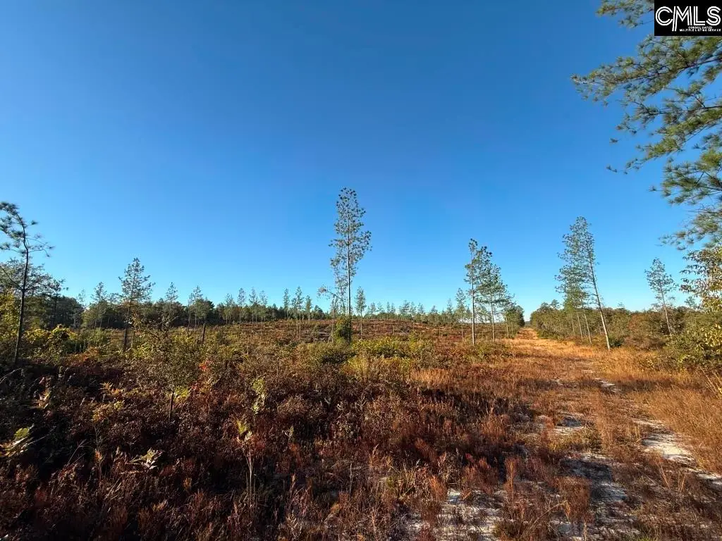 Kestrel Drive, Leesville, SC 29072 - Image #1