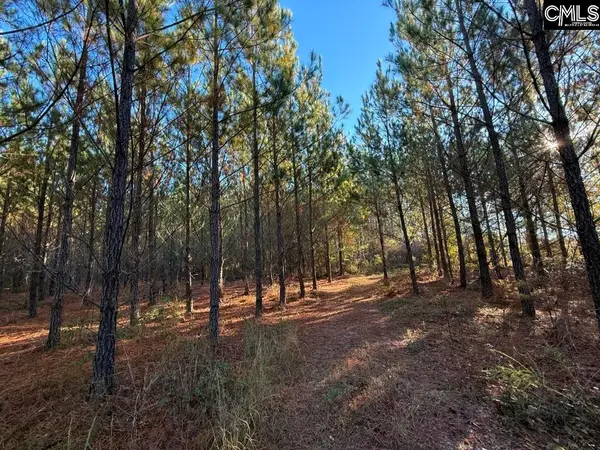 Truex Road, Leesville, SC 29072