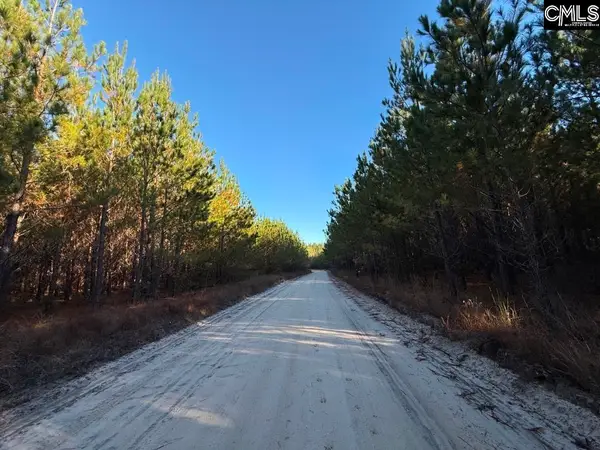 Kestrel Drive, Leesville, SC 29070