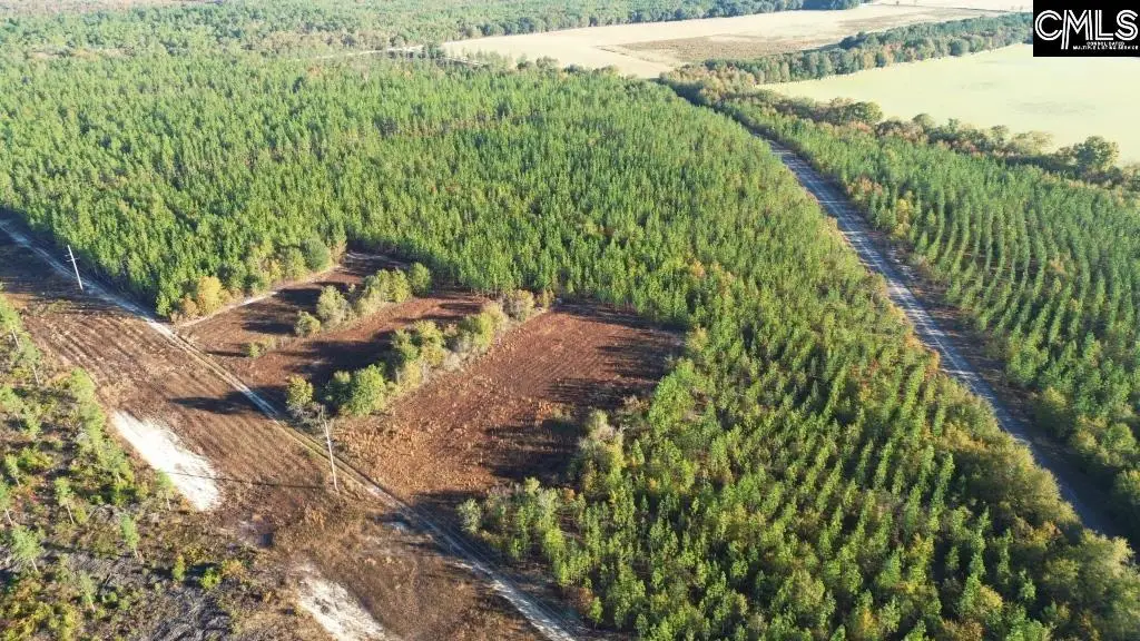 Truex Road, Leesville, SC 29070 - Image #1