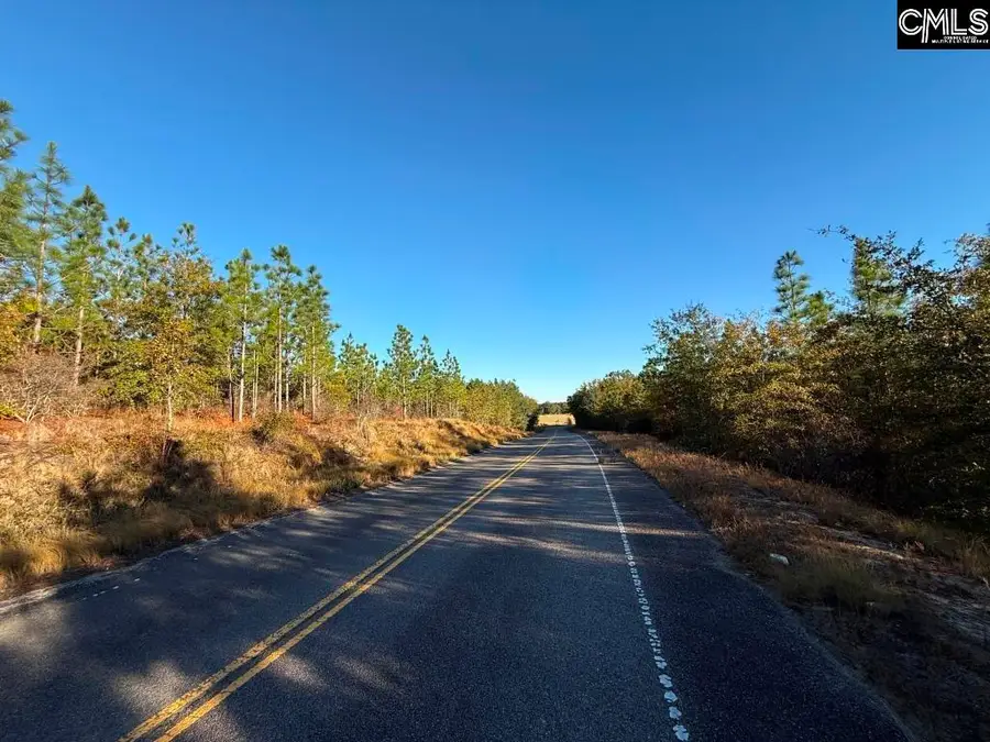 Truex Road, Leesville, SC 29070 - Image #2