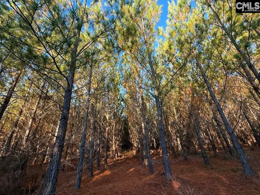 Truex Road, Leesville, SC 29070 - Image #3