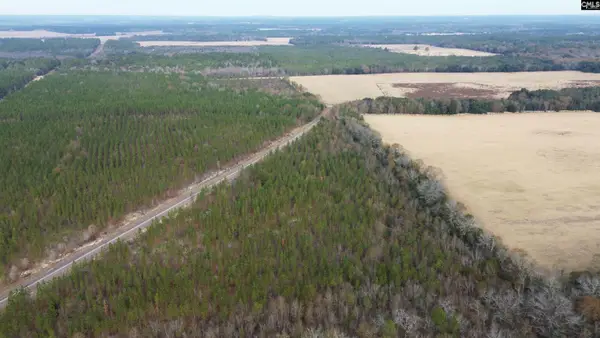 Truex Road, Leesville, SC 29070