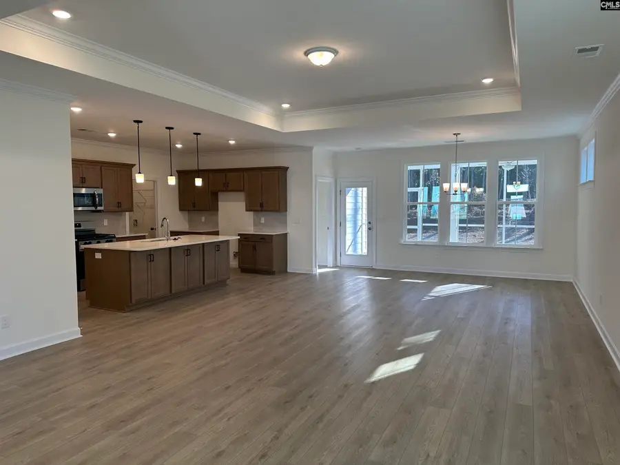 342 Rising Stream Way, Chapin, SC 29036 - Image #2