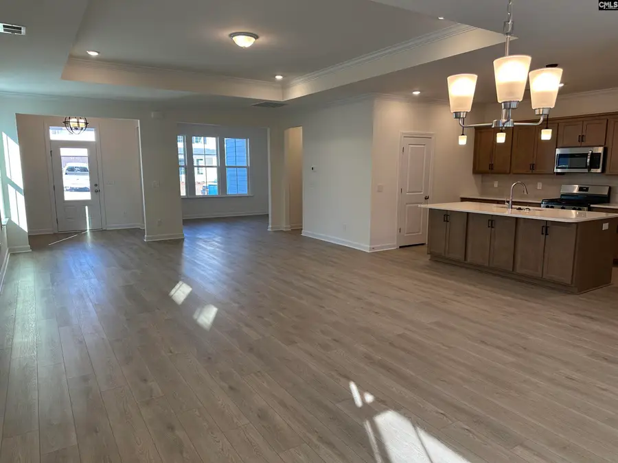 342 Rising Stream Way, Chapin, SC 29036 - Image #3