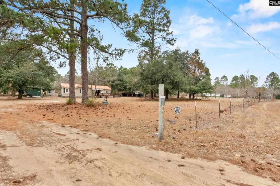 278 Megill Drive, Pelion, SC 29123 - #3