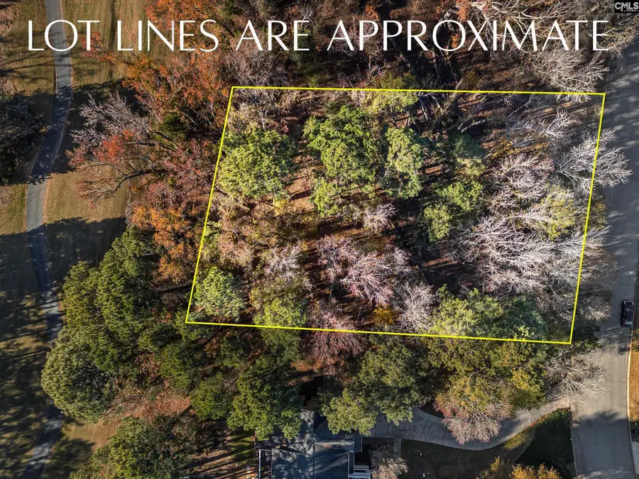 126 Lake Summit Drive, Chapin, SC 29036 - Image #2