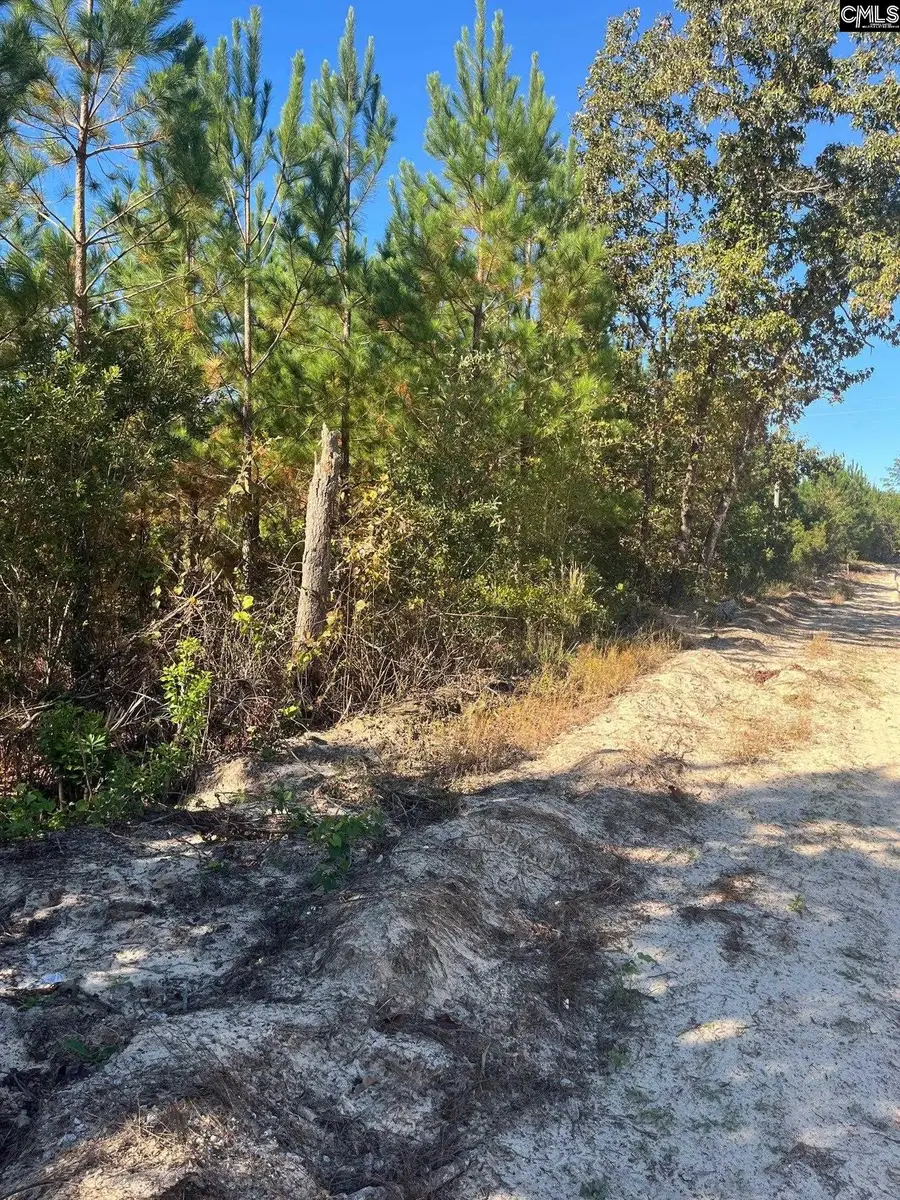 BFF 1D Jc Barefoot Road #BFF 1D, Patrick, SC 29584 - Image #2