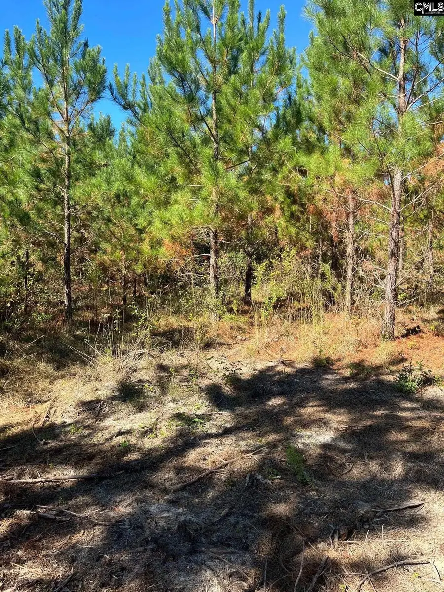 BFF 1D Jc Barefoot Road #BFF 1D, Patrick, SC 29584 - Image #3