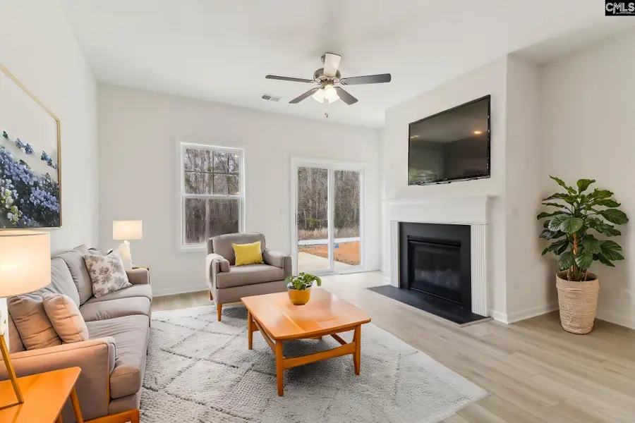 575 Griffon Drive, Chapin, SC 29036 - Image #3