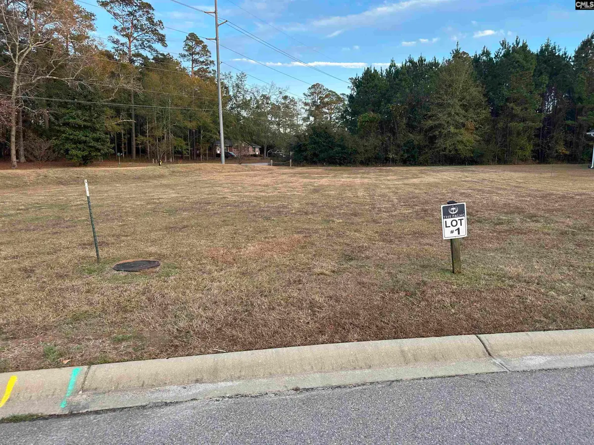 00 Sago Palm Drive #1, Orangeburg, SC 29118 - Image #1