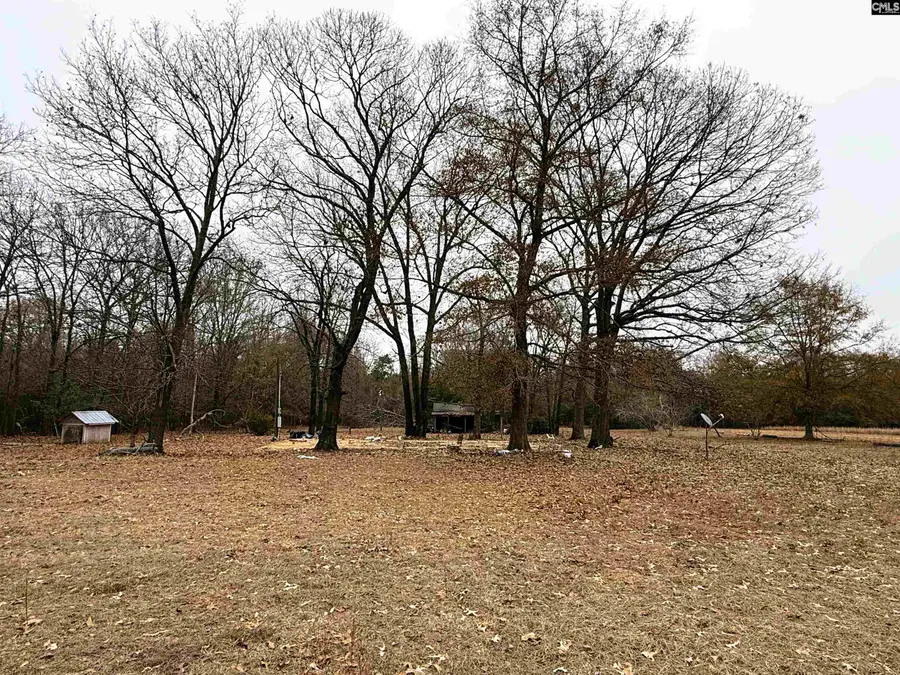 2265 Ninety 6 Road, North, SC 29112 - Image #2