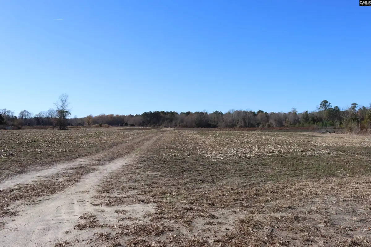0 Highway 3, Blackville, SC 29817 - Image #1