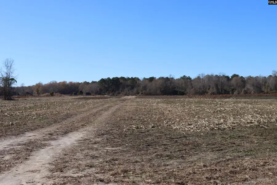 0 Highway 3, Blackville, SC 29817 - Image #2