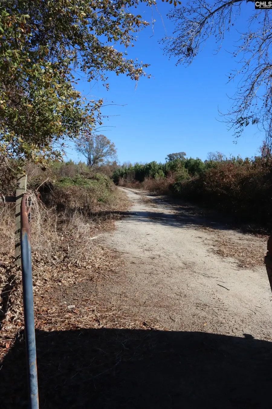 0 Highway 3, Blackville, SC 29817 - Image #3