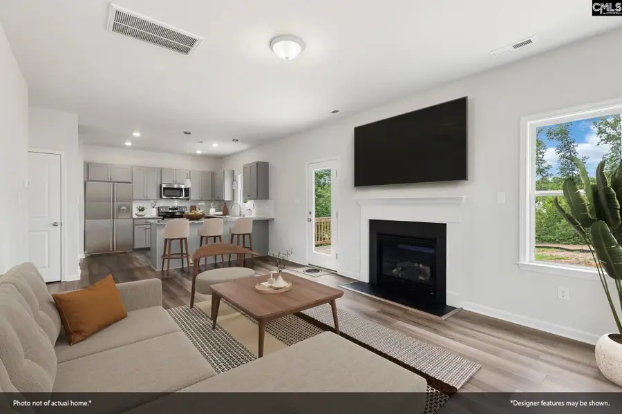 3675 Stedding Place, Lexington, SC 29073 - #2