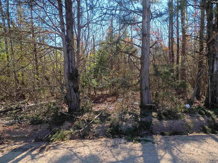 1163 Juneberry Rd, Camden, SC 29020 - Image #3