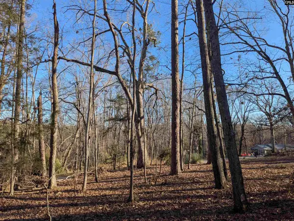 Dogwood Avenue, Winnsboro, SC 29180