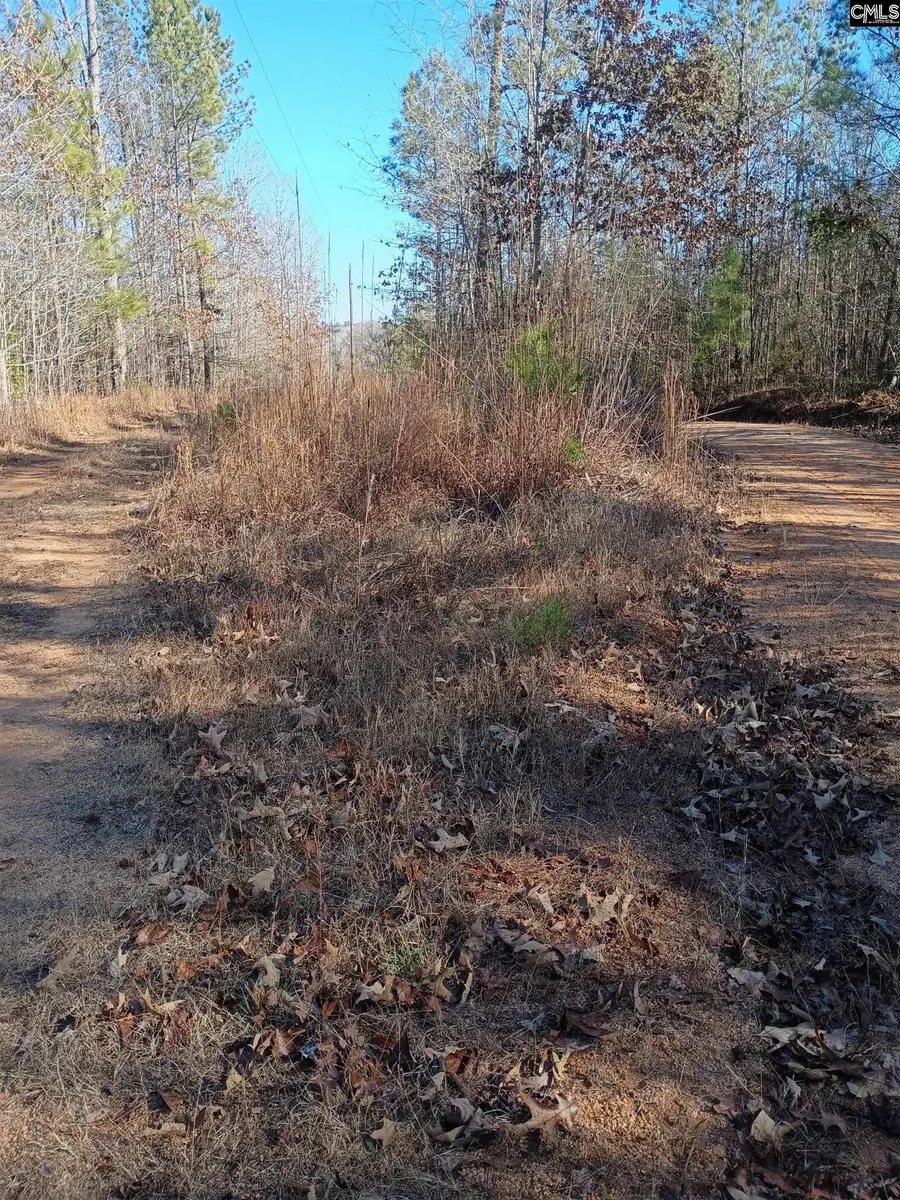 1164 Calvins Rd, Camden, SC 29020 - Image #2